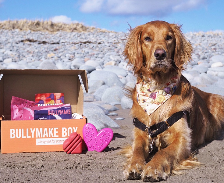 Bullymake: For the Intense Chewers – The Little Aussies